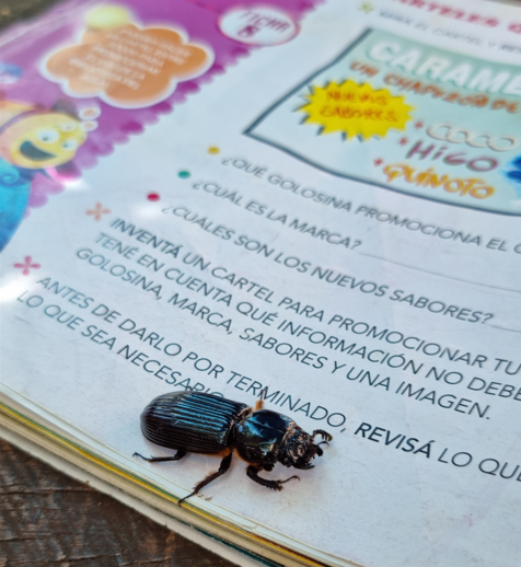 ¡AQUÍ APRENDEMOS CIENCIAS!
